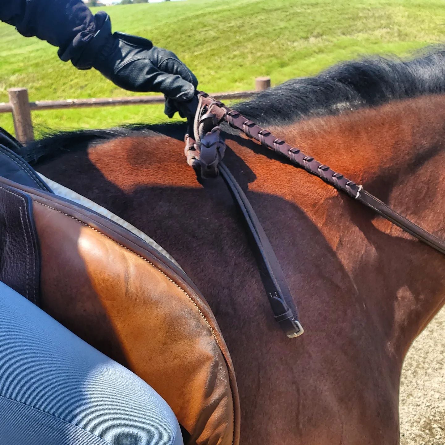 * Tack Hack * The Bight Knot The Show Trunk