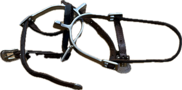 Coronet Hammerhead Spurs with Leather Straps - 3/4 Inch