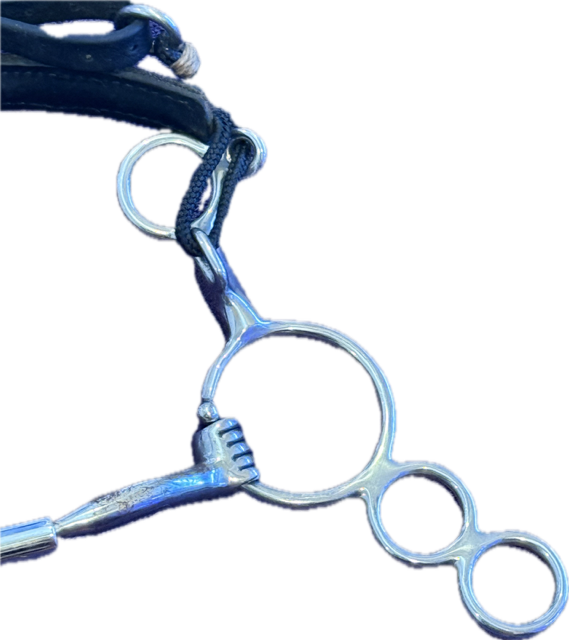 Toklat Myler 3-Ring Combination Bit - 5.5"