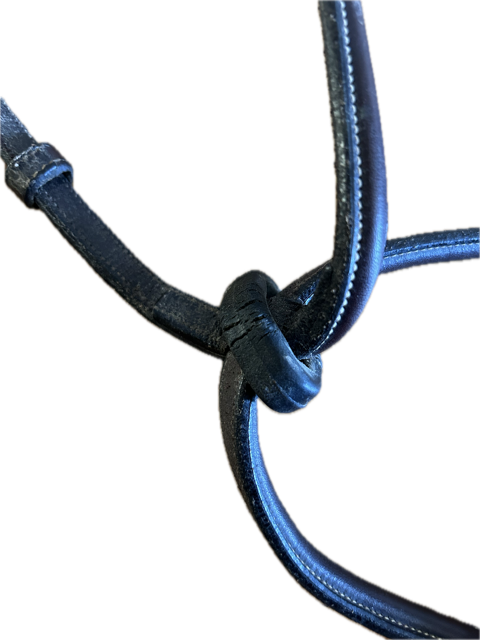 Brown Standing Martingale