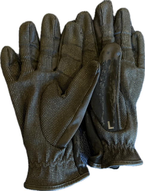 SSG Schooler Black Riding Gloves - Women's 7