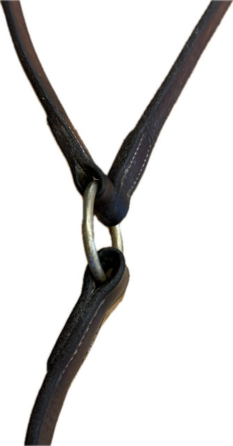 Standing Martingale - Horse