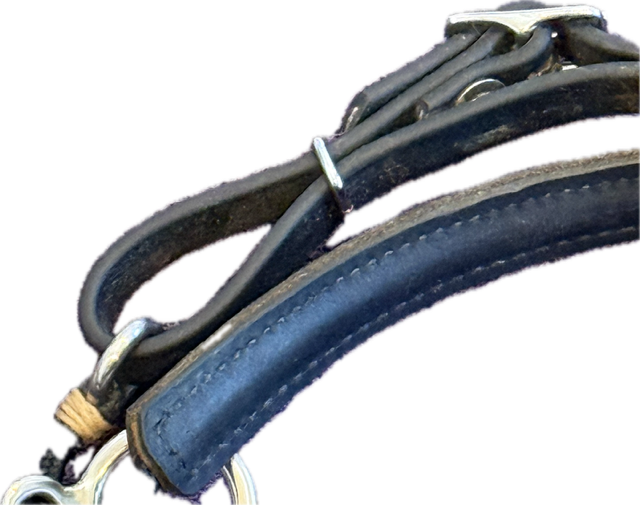 Toklat Myler 3-Ring Combination Bit - 5.5"