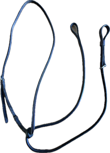 Brown Standing Martingale