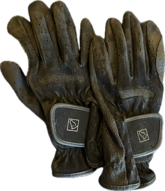 SSG Schooler Black Riding Gloves - Women's 7