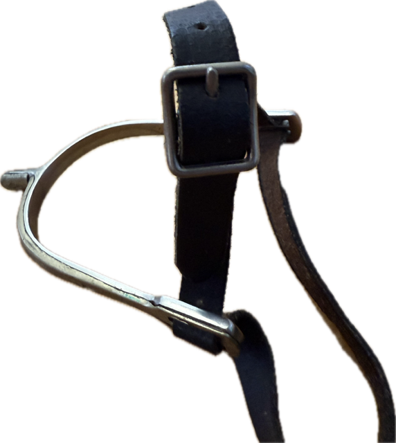 Coronet Offset Prince of Wales Spurs with Leather Straps - 3/4 Inch