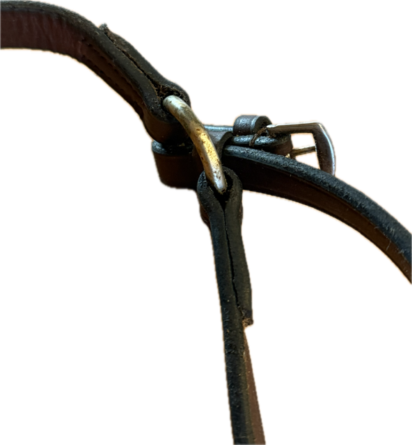 Gatsby Raised Breastplate with Standing Martingale Attachment - Horse