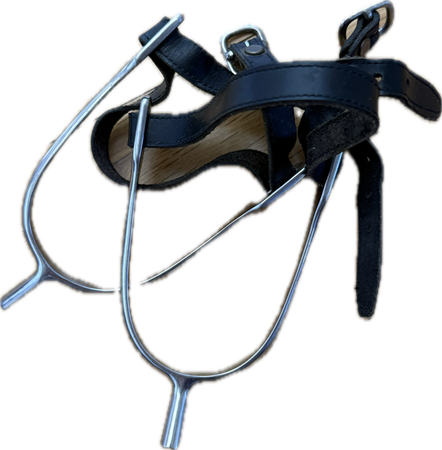 Offset Prince of Wales Spurs with Leather Straps - 1 Inch