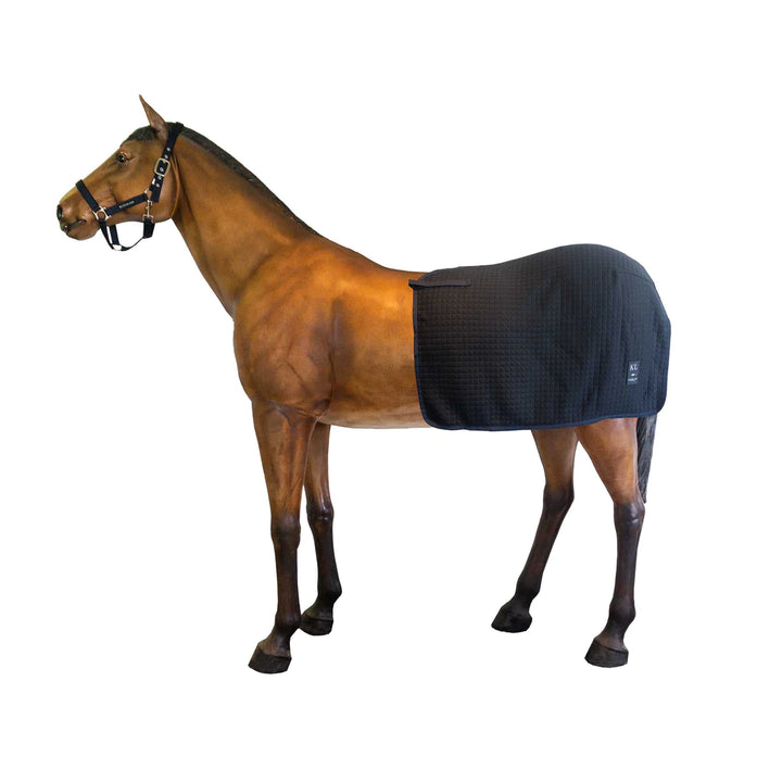 Kingsland Wool Evolution Excercise Rug - Cob - New!