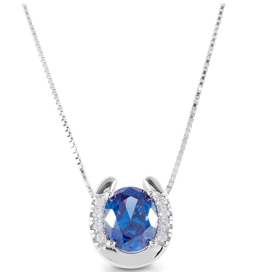 Kelly Herd Stone Horseshoe Necklace - New!