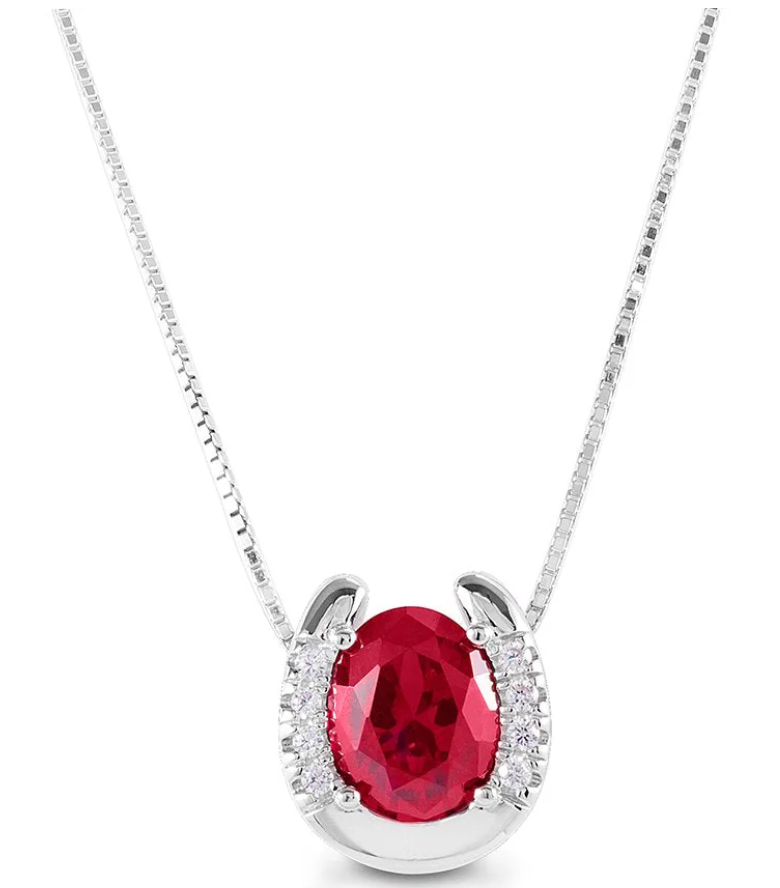 Kelly Herd Stone Horseshoe Necklace - New!