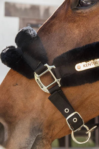 Kentucky Nylon Sheepskin Halter - Pony - New!