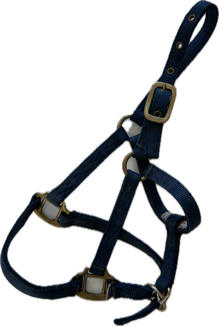 Hamilton Nylon Adjustable Halter - Pony