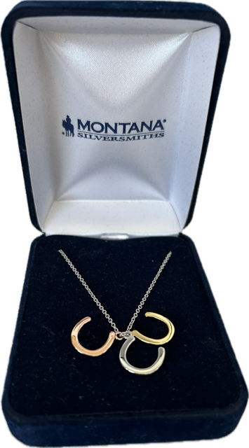 Montana Silversmiths Horseshoe Necklace