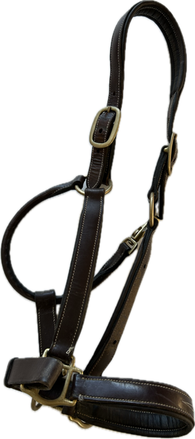 Black Oak Leather Halter - Full/Horse