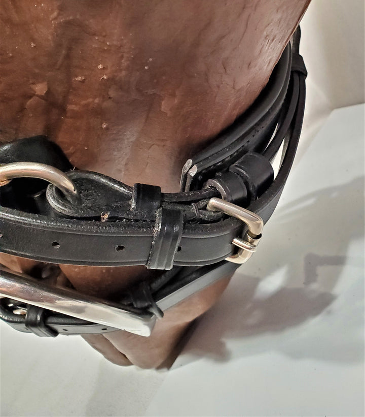 Dressage Bridle with Integrated Flash - X Full - The Show Trunk Shop