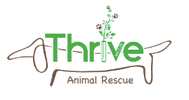 The Show Trunk Partners with Thrive Animal Rescue