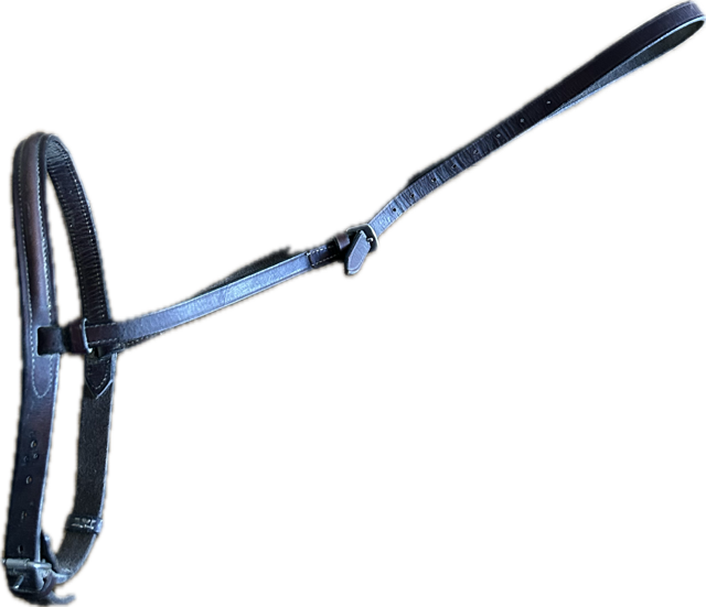 Brown English Leather Noseband