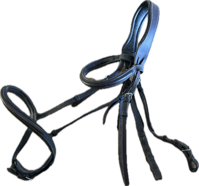 Brown English Bridle