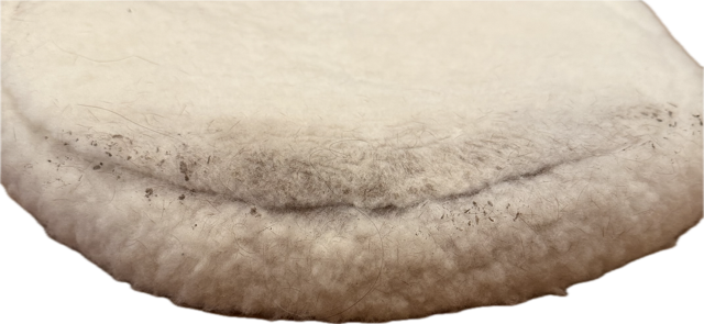 Beval Theraputic Half Pad - Horse