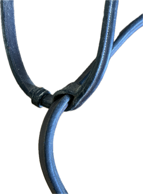 Brown Standing Martingale