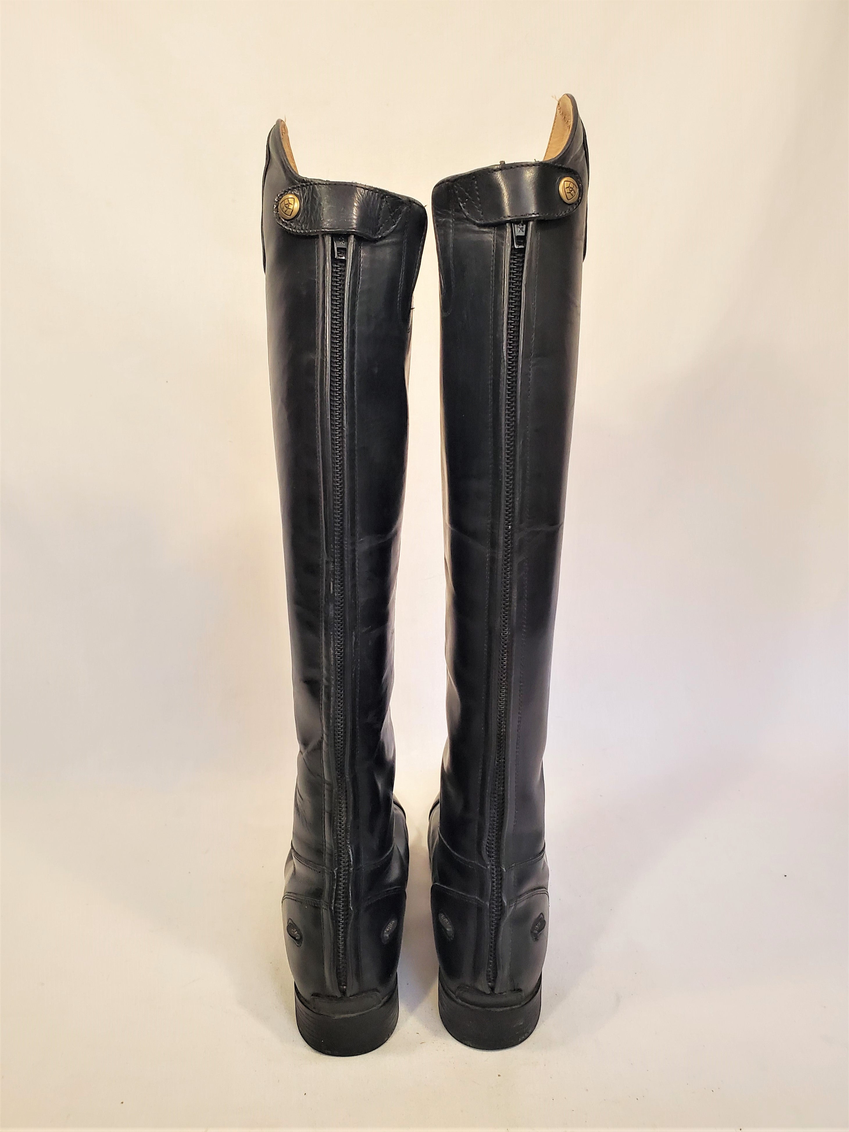 Ariat westchester boots online