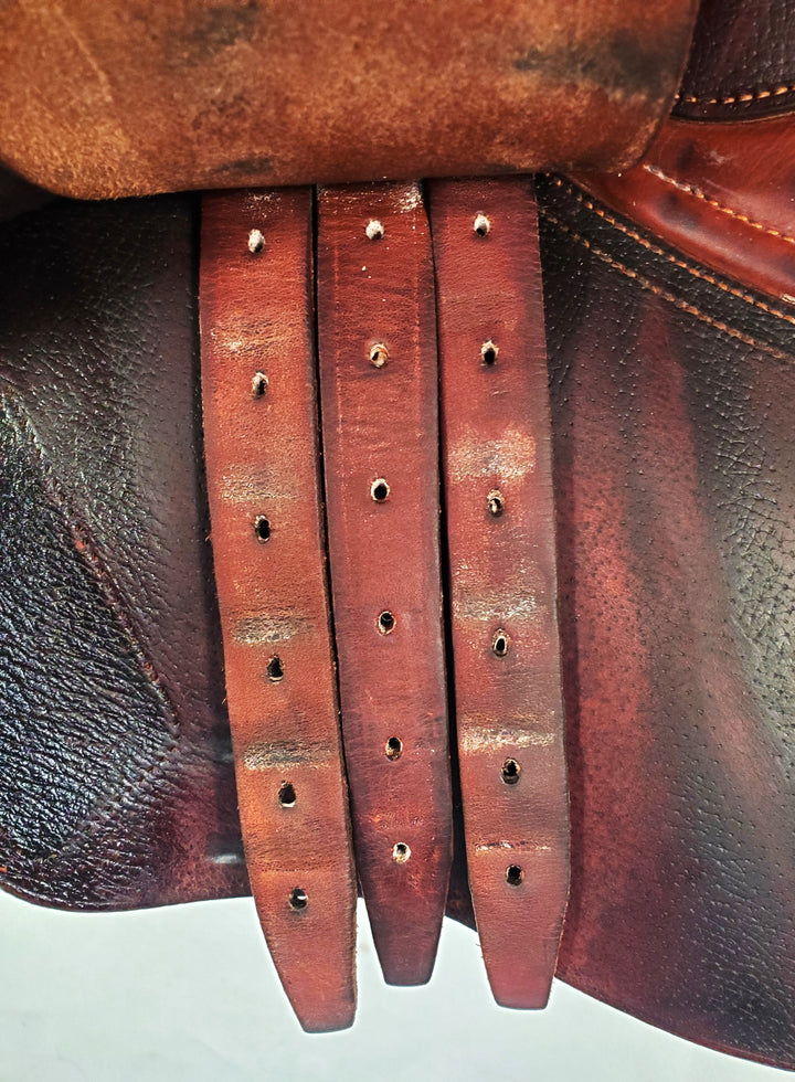 16.5" 1L SE 01 CWD Premium