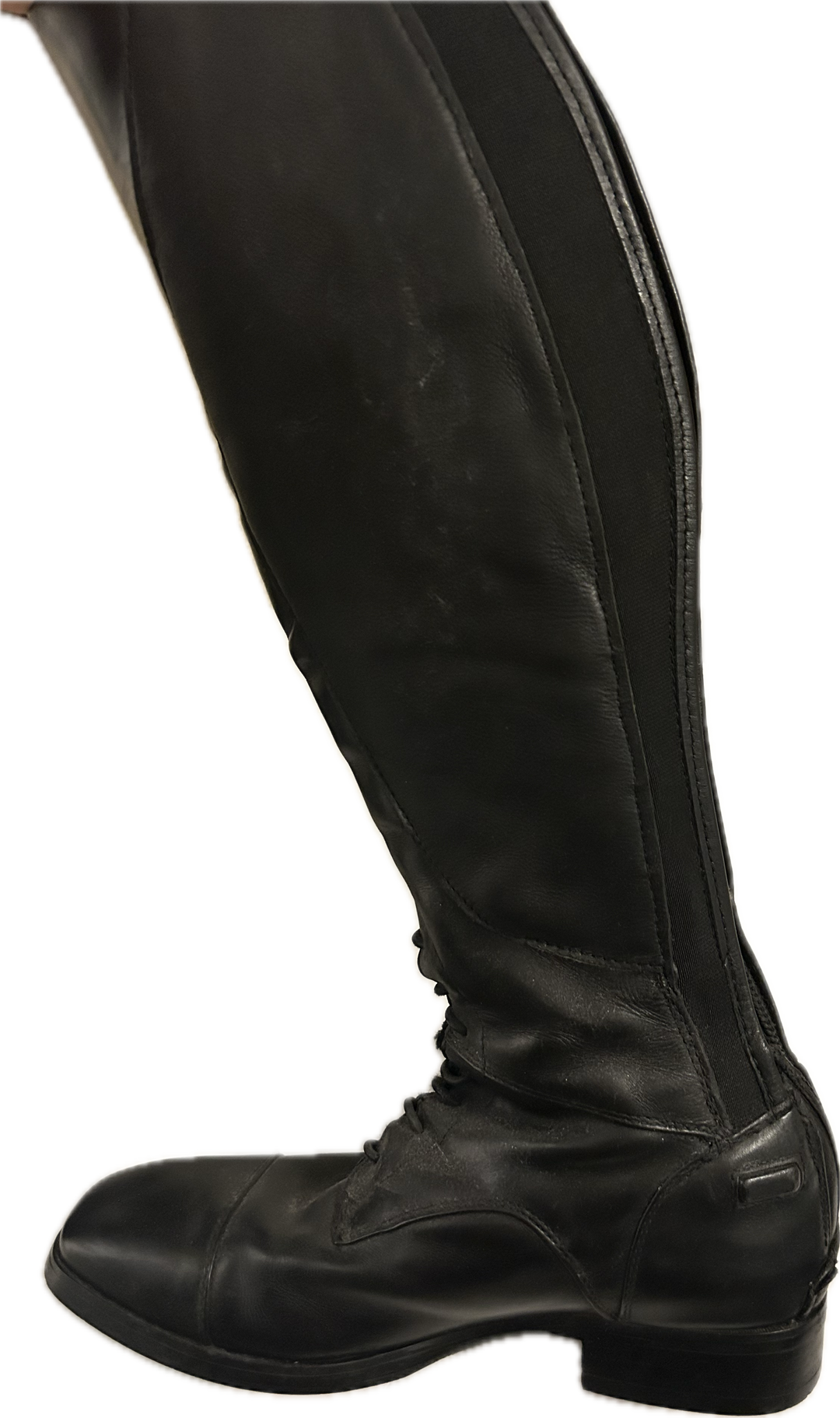Ariat Kinsley Tall Boot- 7.5 Height M Calf Reg