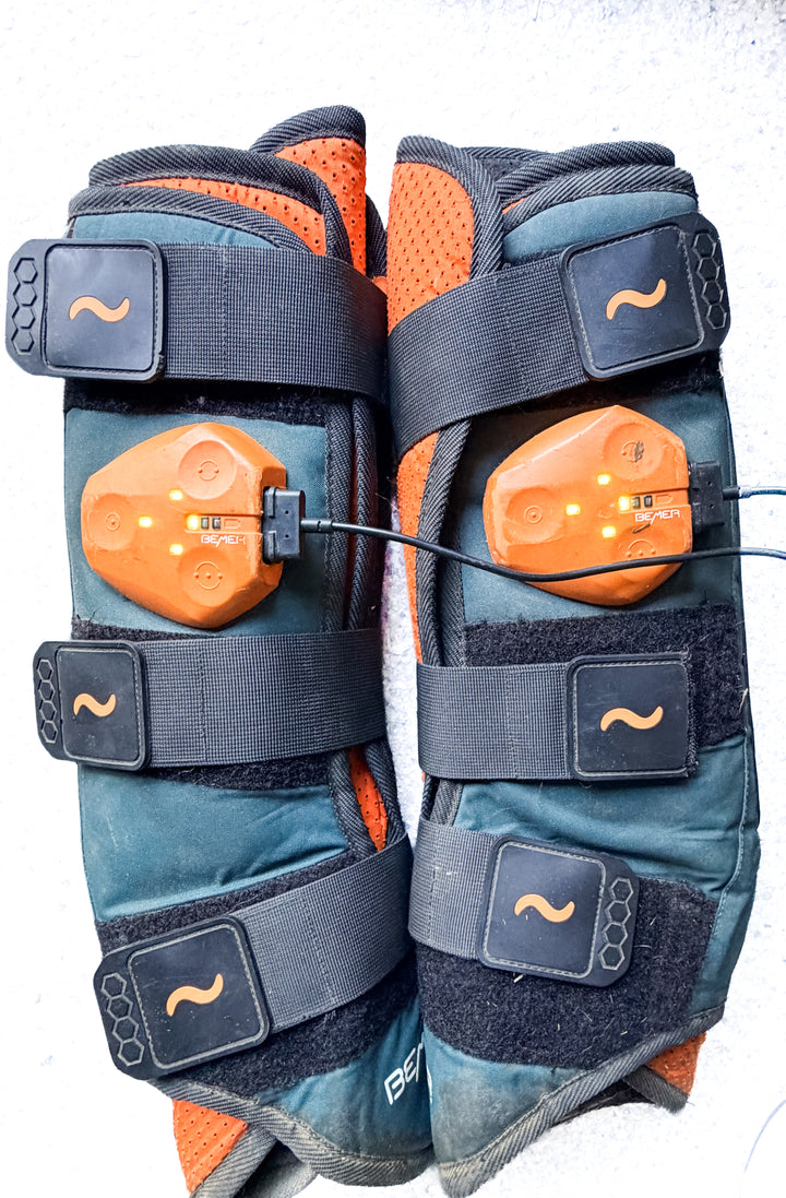 Horse Bemer Set