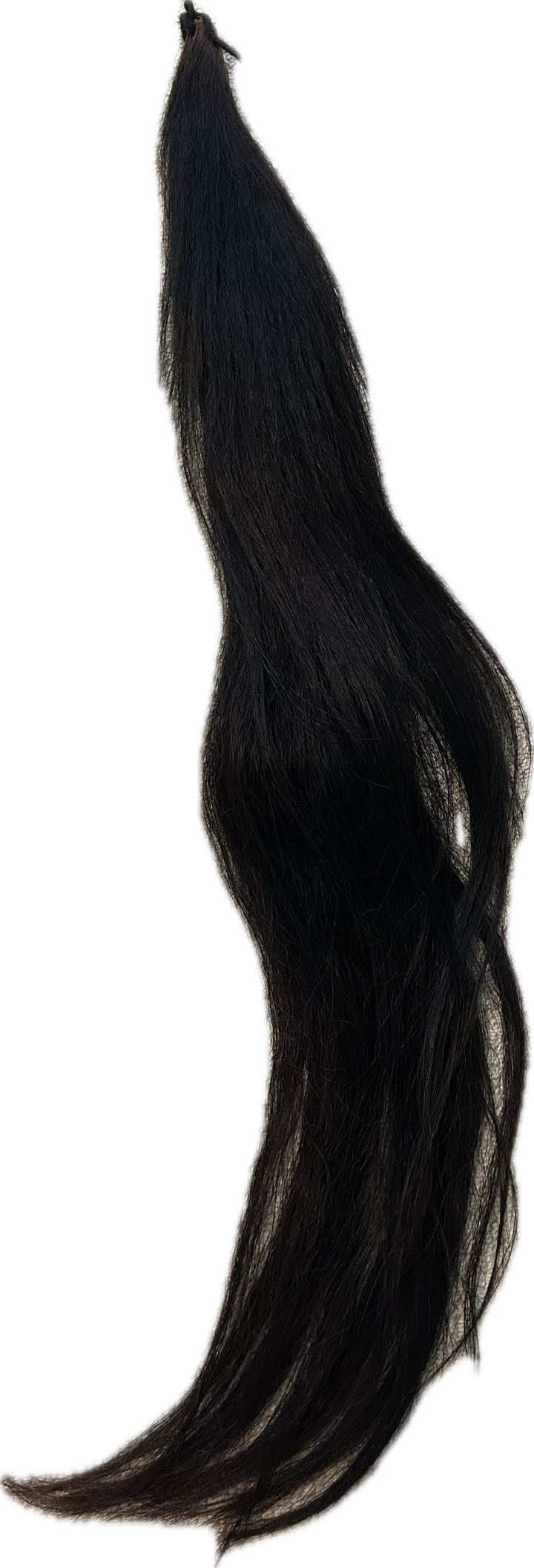 Black Tail Extension  - 37"