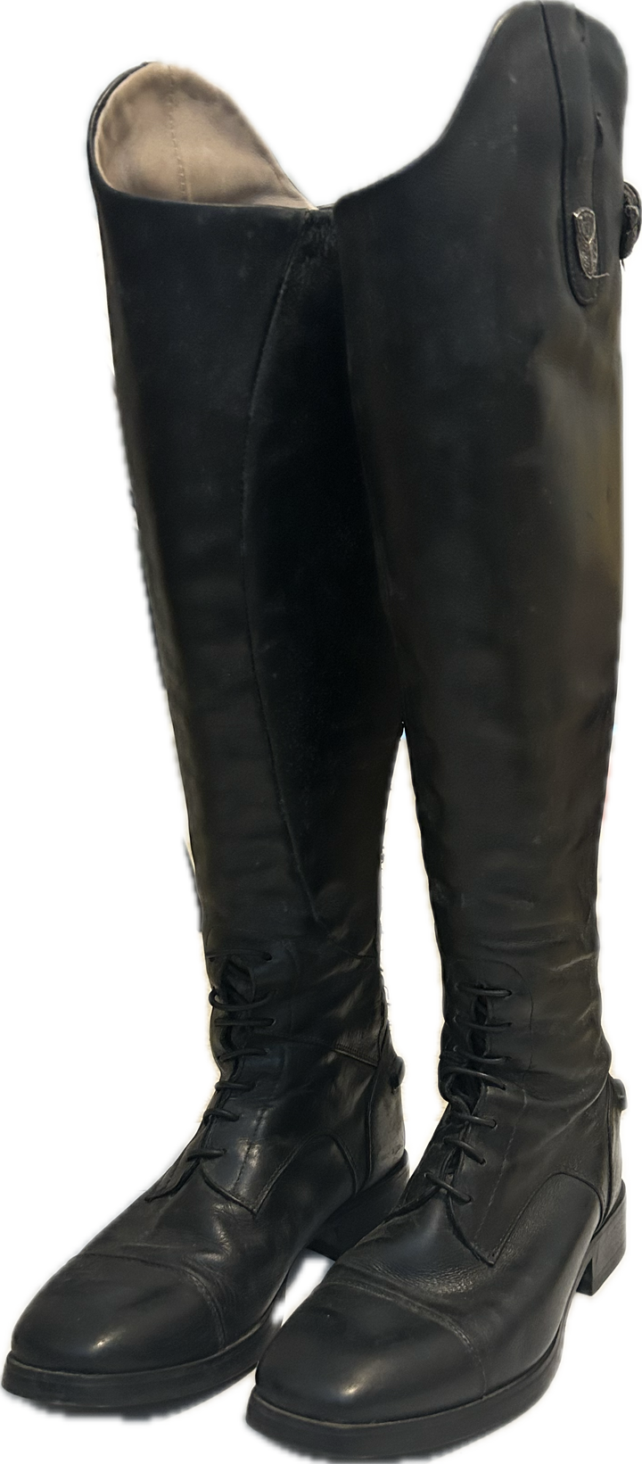 Ariat Tall Boots - Women's 5.5B