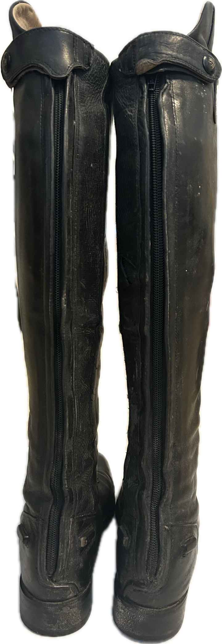 Ariat Tall Boots - Women's 5.5B