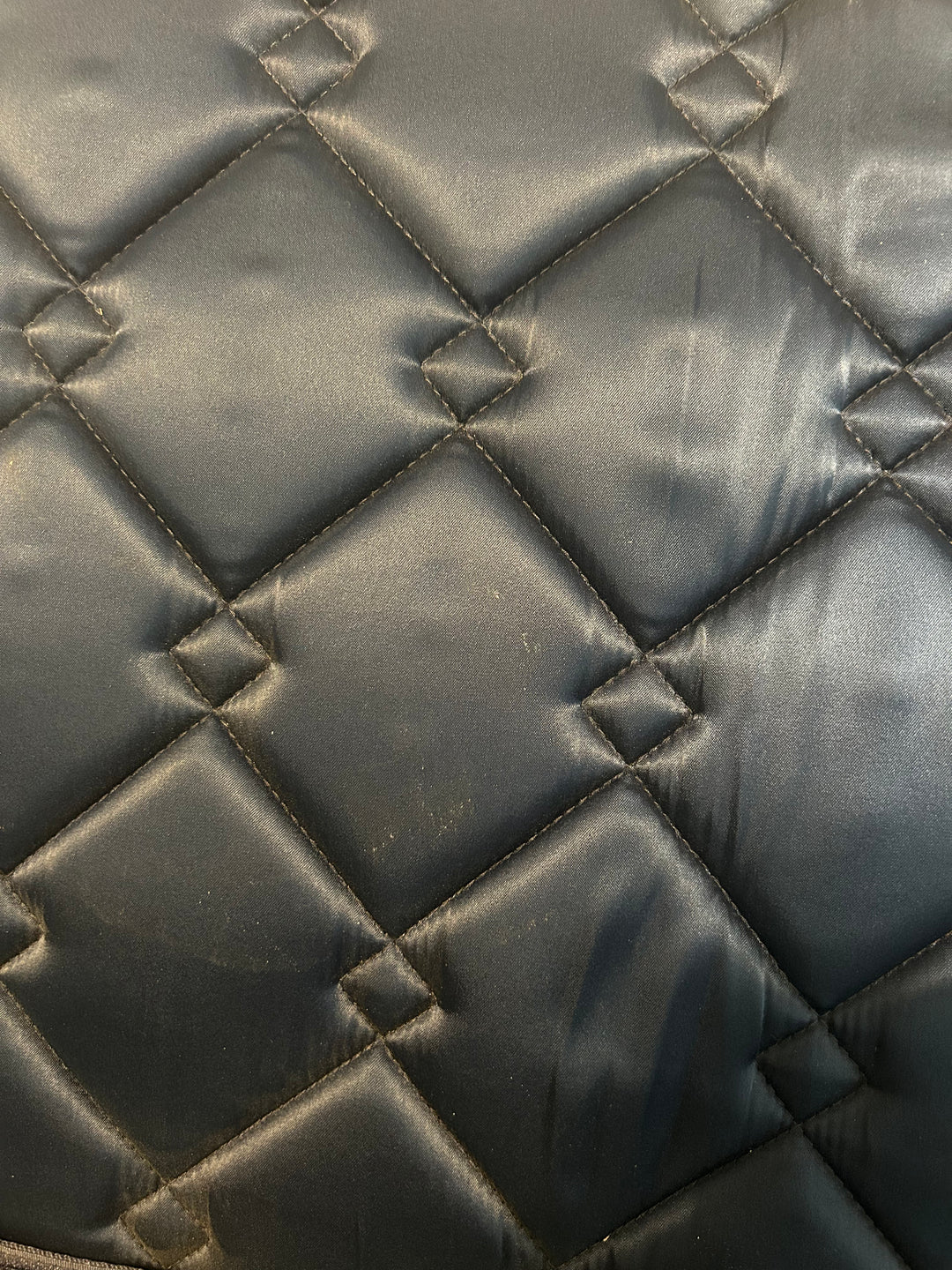 Loushia Capistrano Saddle Pad - Full - New!