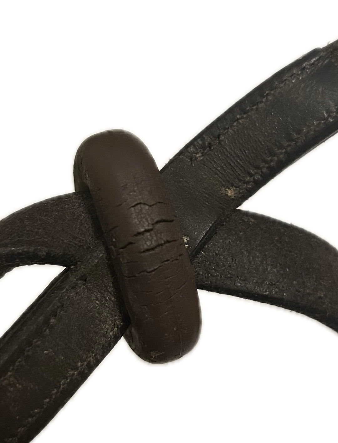 Standing Martingale Pony