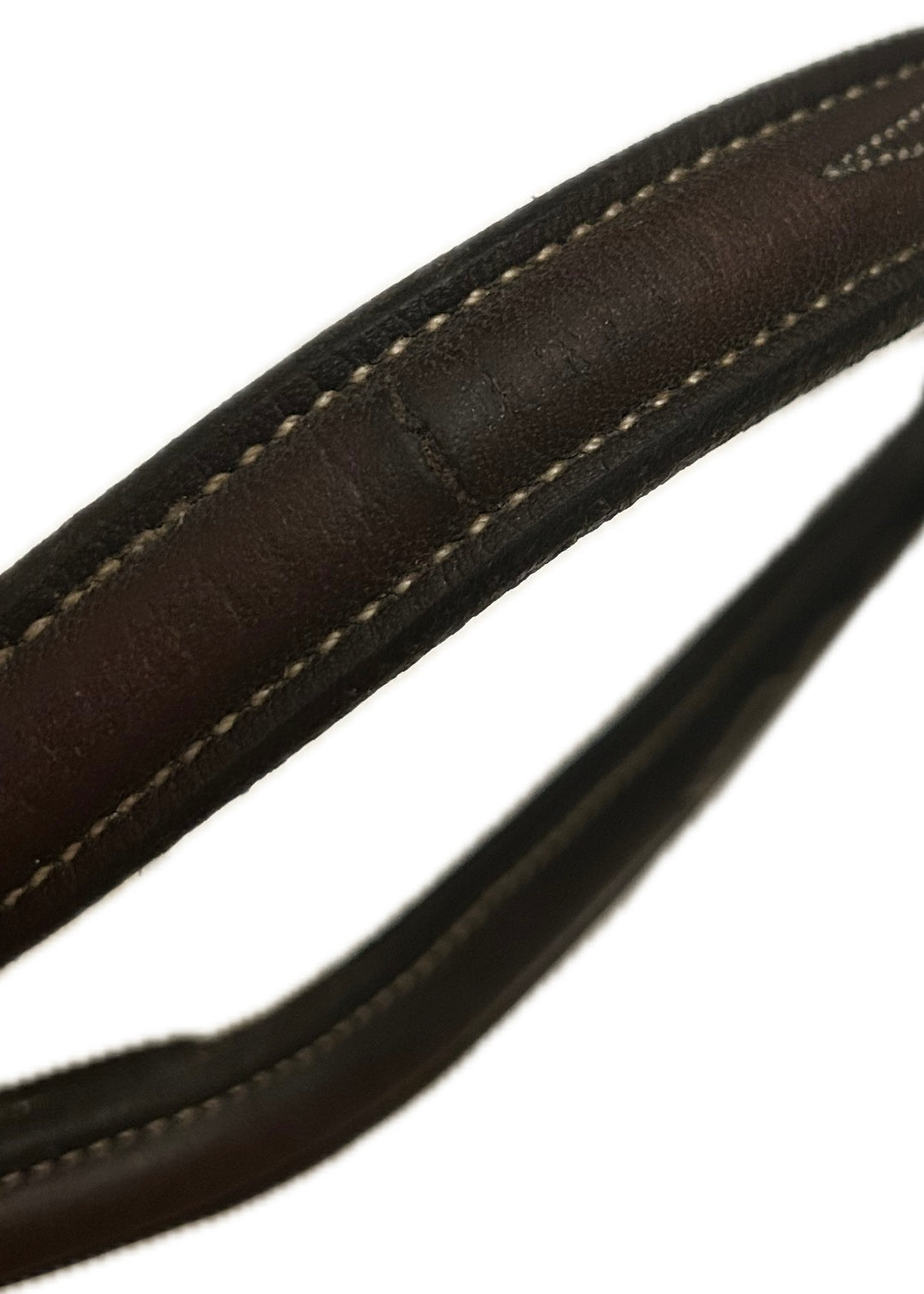 Standing Martingale Pony