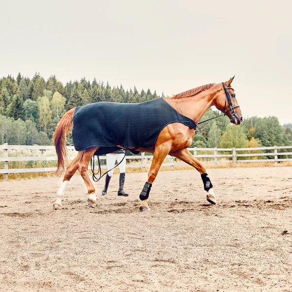 Lunging Rug Horse Clothing – The Show Trunk