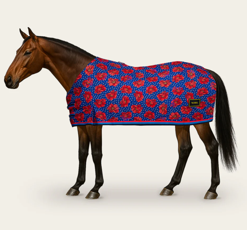 VANITA PRINT LIGHT STABLE SHEET-NEW!