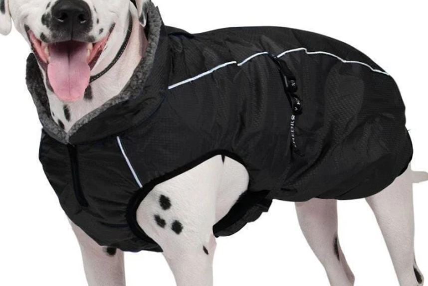 Shedrow K9 Chinook Dog Coat- Small -NEW!