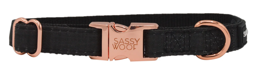 Sassy Woof Dog Collar- S -NEW!