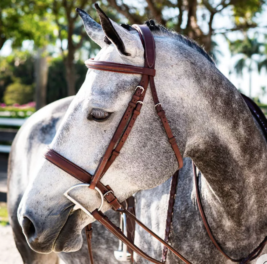 CWD Hunter Bridle - Size 3 (Full)