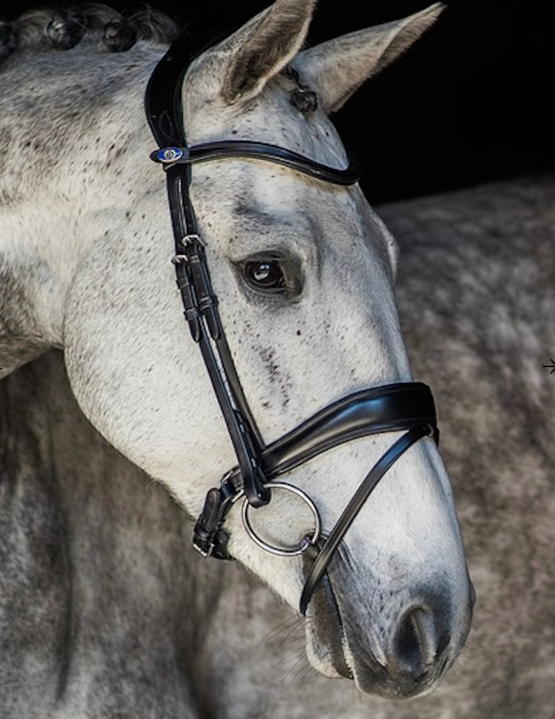 PS of Sweden 'Flying Change' Dressage Bridle and Reins - Black - Full