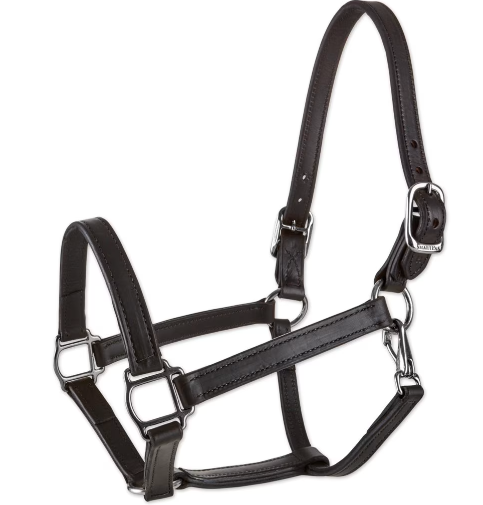 SmartPak Leather Halter - Horse