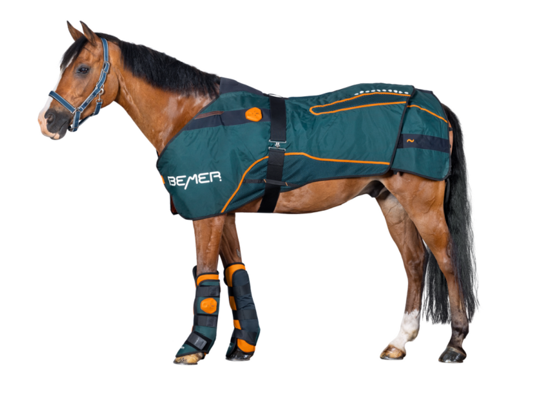 Horse Bemer Set
