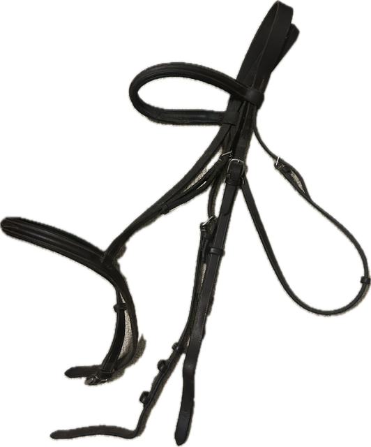 Dark Brown Hunter Bridle