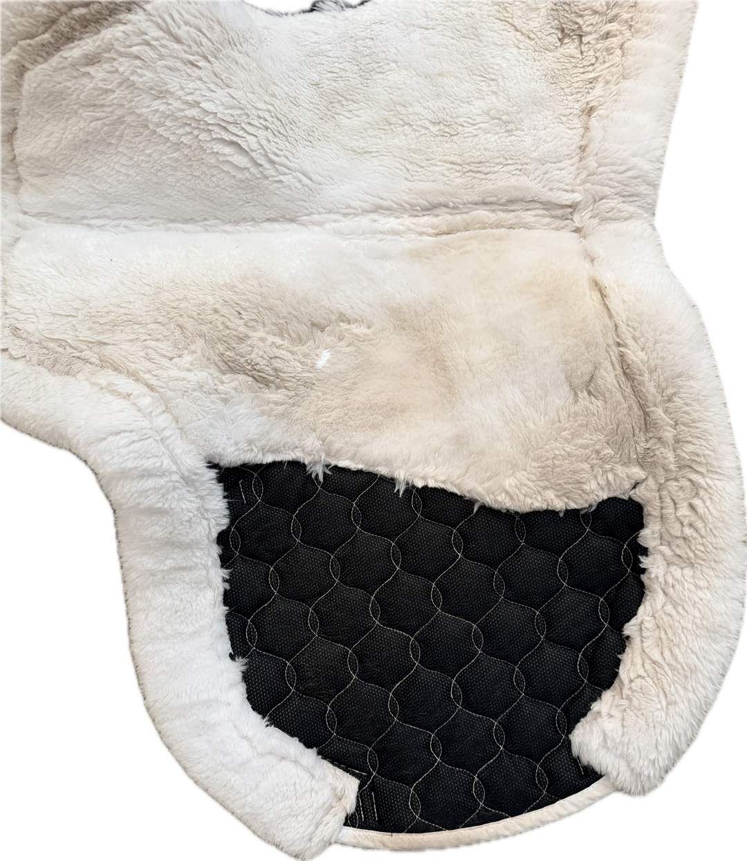 Professional's Choice VenTECH Hunter Show Pad