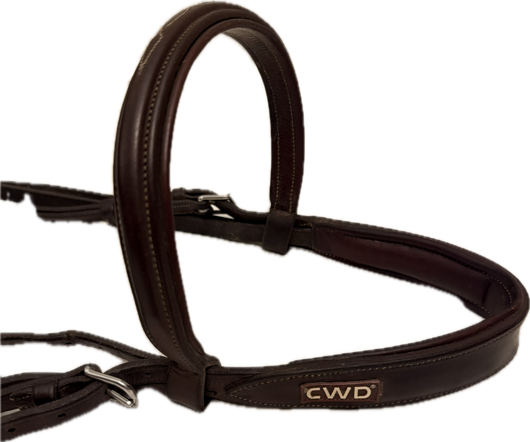 CWD Bridle- Full