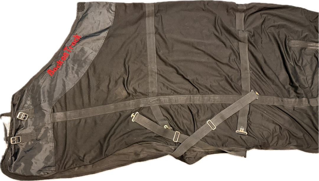 Back on Track Mesh Sheet - Black - 84"