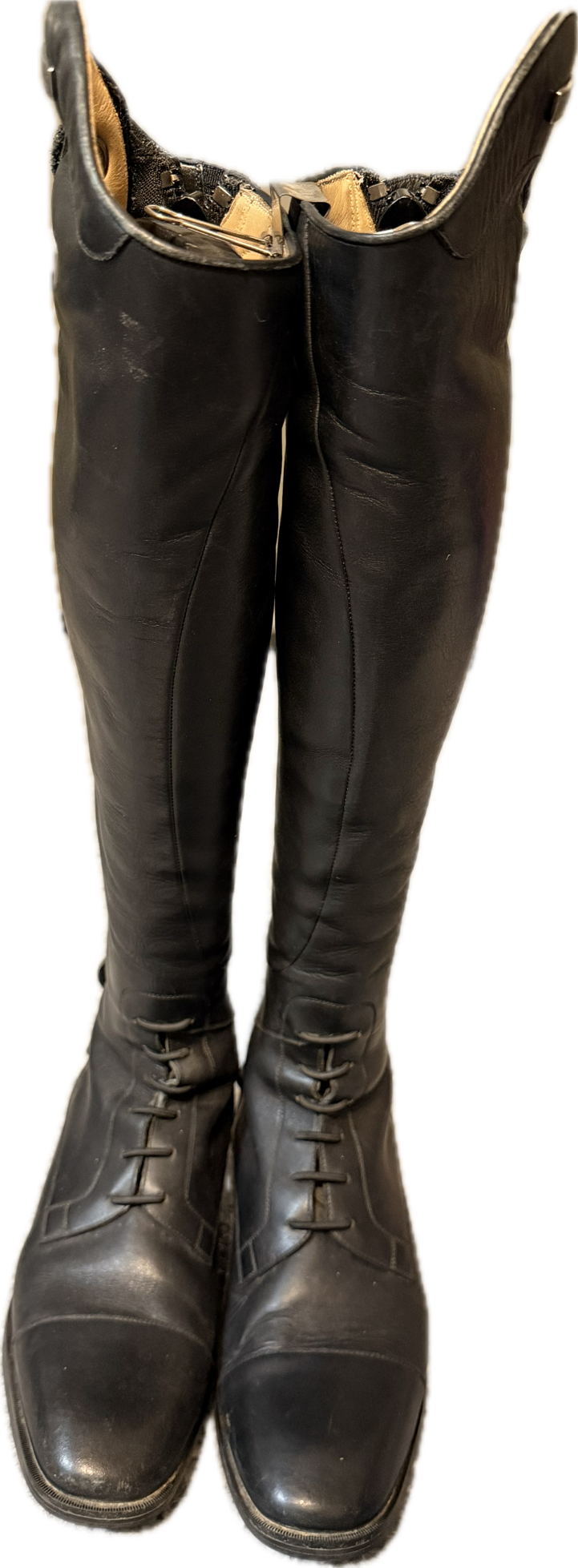 Ariat Ladies Divino Tall Field Boot - Women's US 7.5