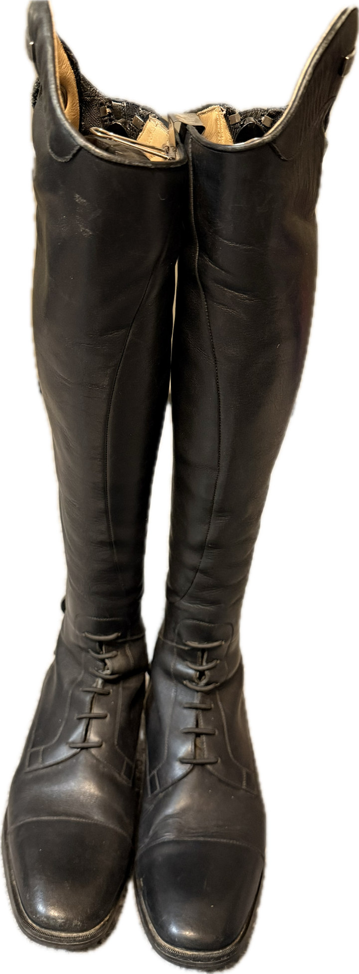 Ariat Ladies Divino Tall Field Boot - Women's US 7.5