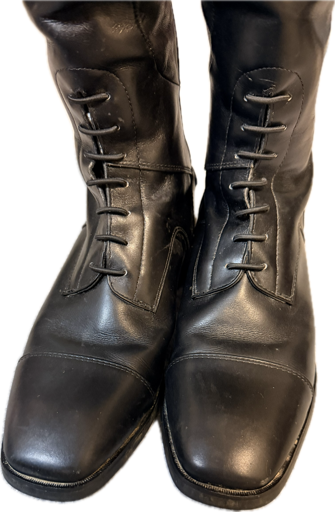 Ariat Monaco Field Tall Boot - Women's 7B - Tall Regular